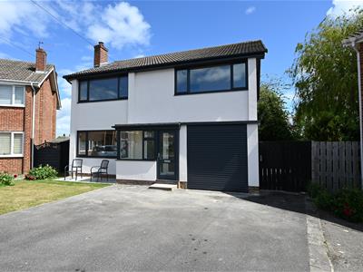 Picture 20